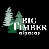 Big Timber Alpacas logo