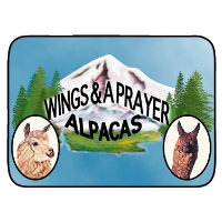 Wings and a Prayer Alpaca Farm logo